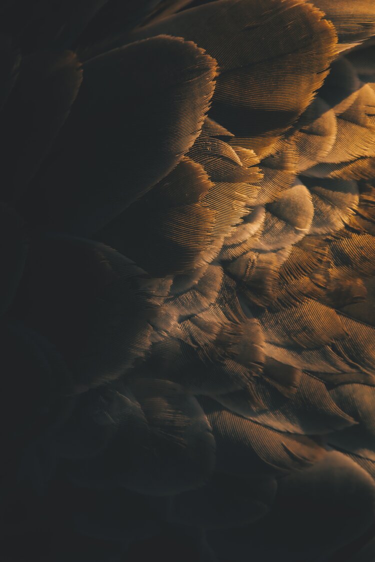 Photo by Rob Potter on Unsplash