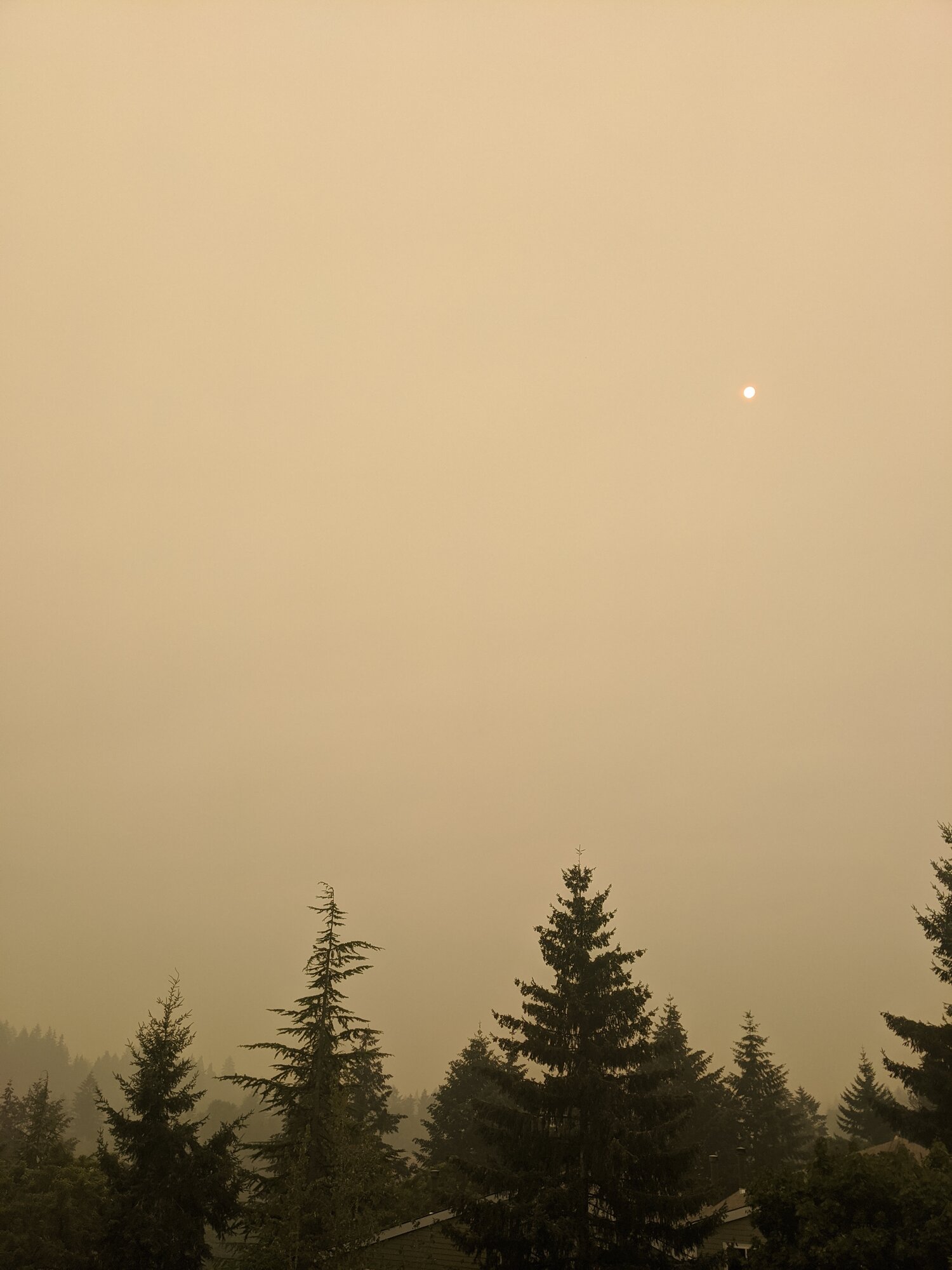 The view outside my friend’s window.